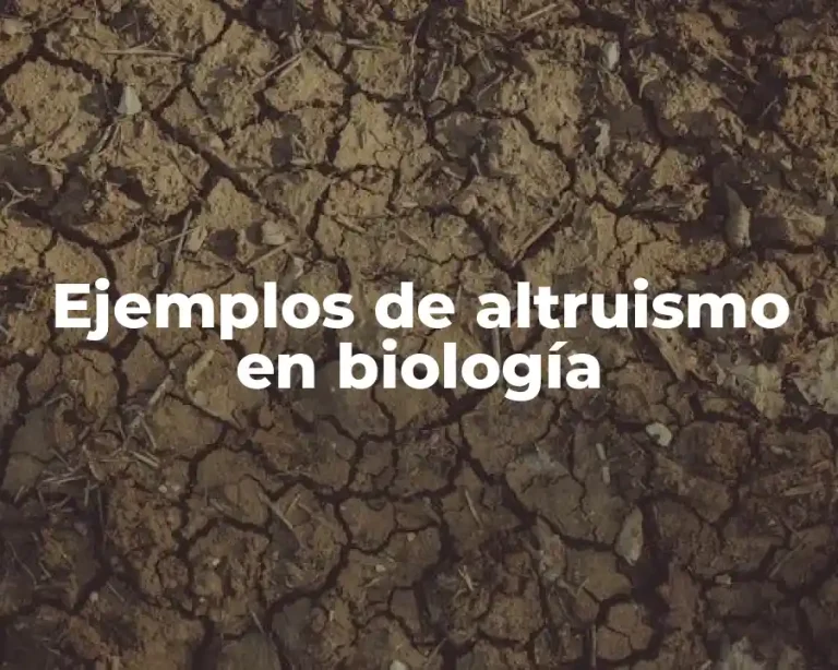 Ejemplos de altruismo en biología