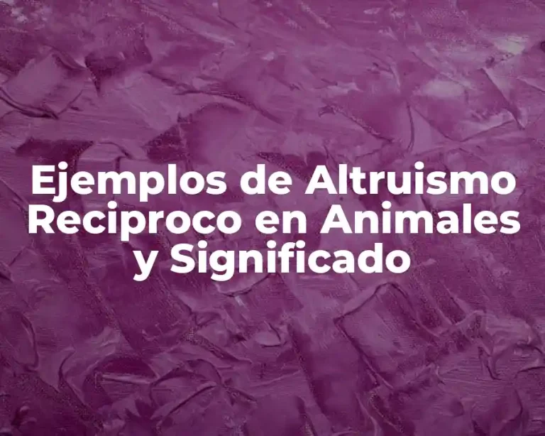 Ejemplos de Altruismo Reciproco en Animales y Significado