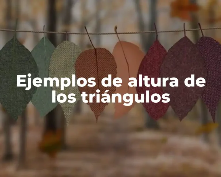 Ejemplos de altura de los triángulos