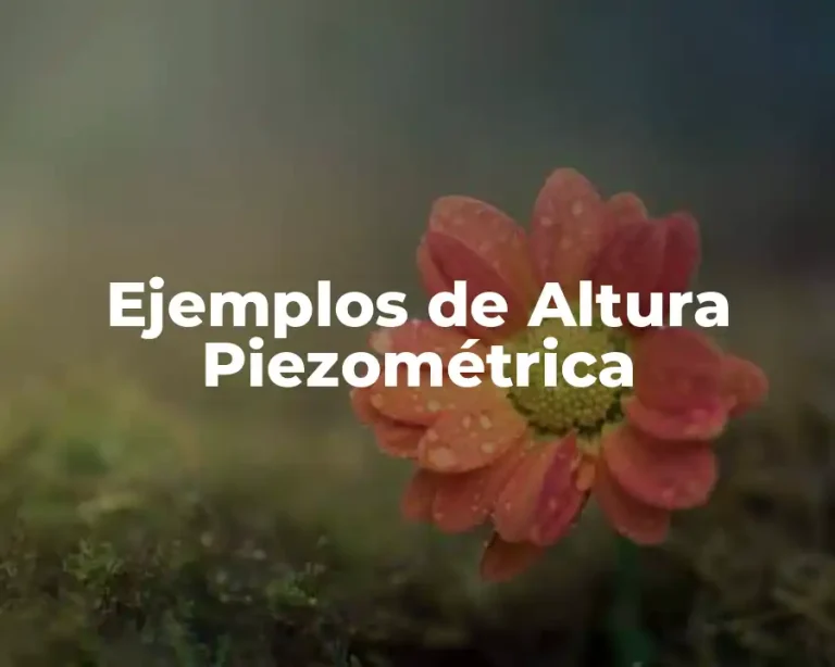 Ejemplos de Altura Piezométrica
