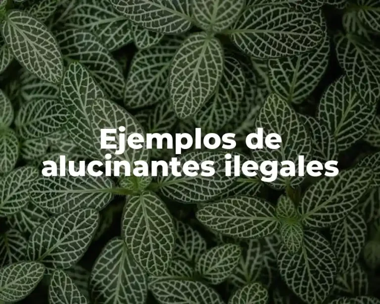 Ejemplos de alucinantes ilegales