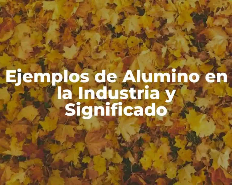 Ejemplos de Alumino en la Industria y Significado