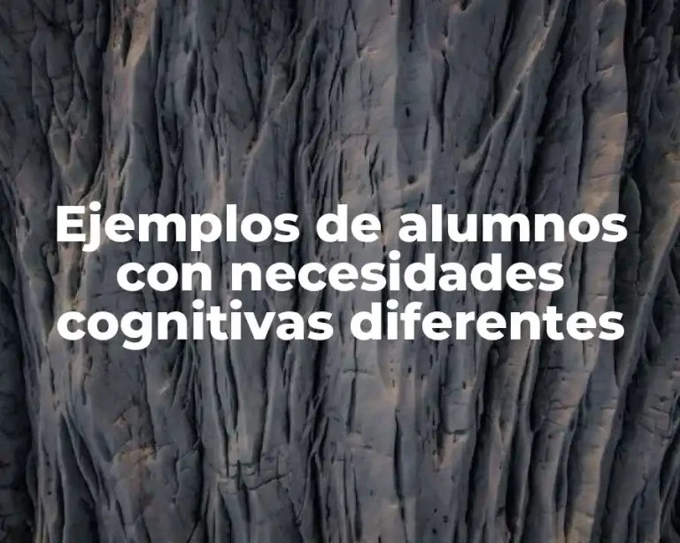Ejemplos de alumnos con necesidades cognitivas diferentes
