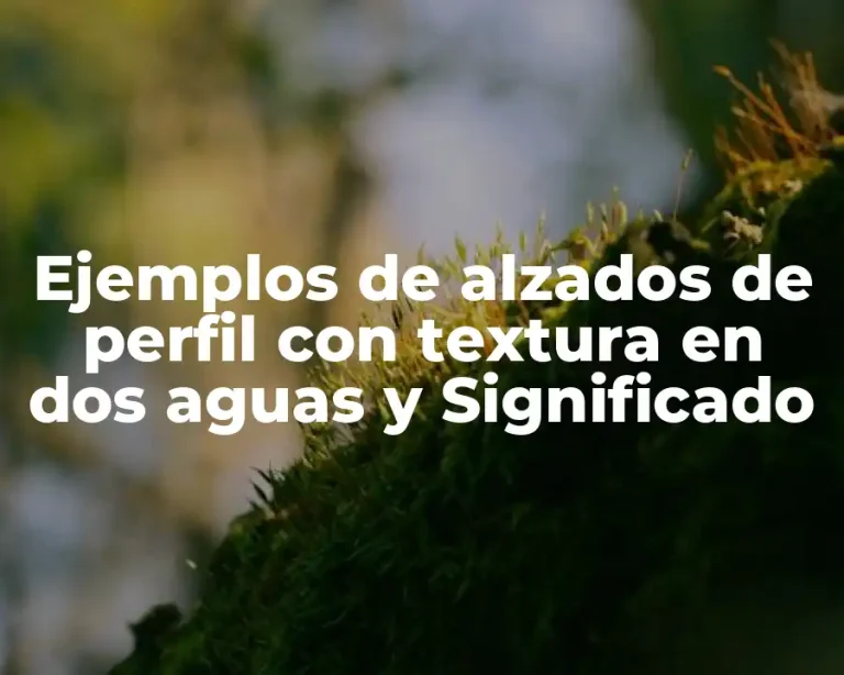 Ejemplos de alzados de perfil con textura en dos aguas y Significado
