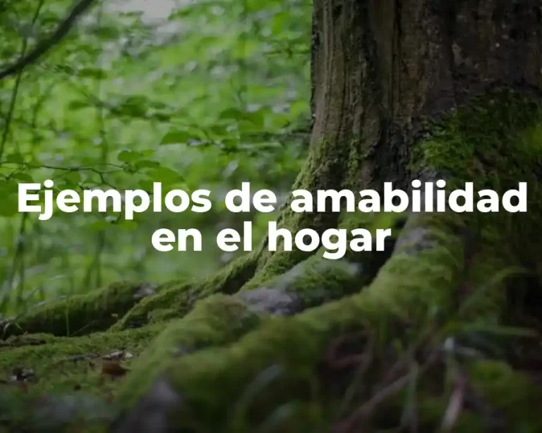 Ejemplos de amabilidad en el hogar