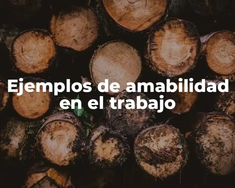 Ejemplos de amabilidad en el trabajo