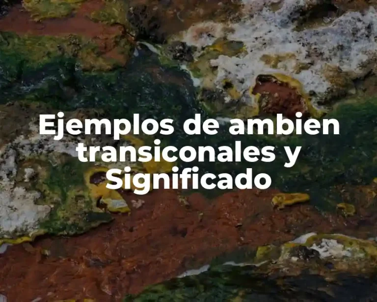 Ejemplos de ambien transiconales y Significado