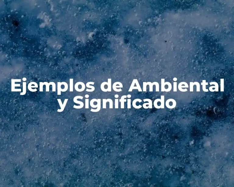Ejemplos de Ambiental y Significado