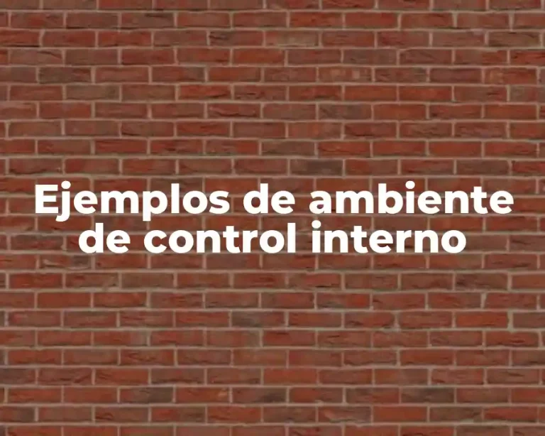 Ejemplos de ambiente de control interno