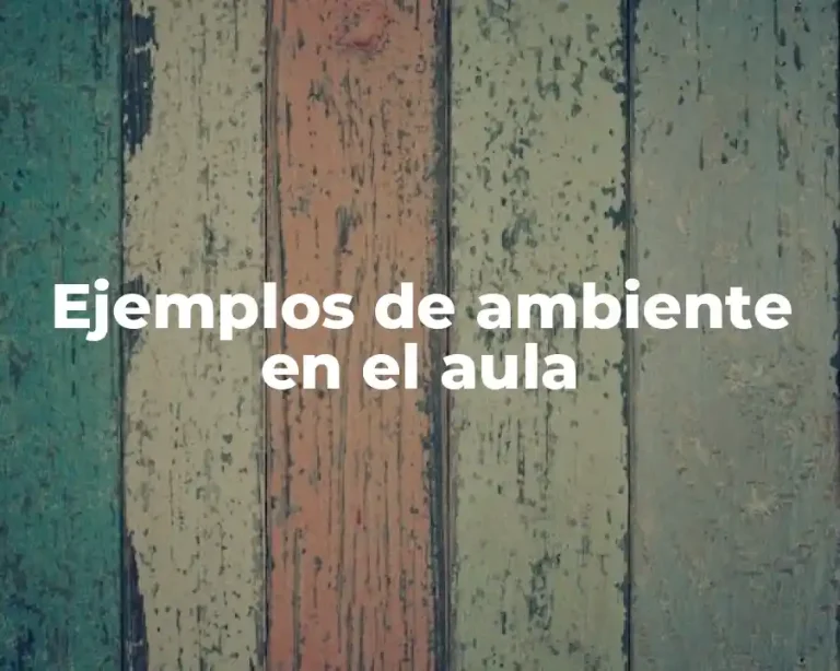Ejemplos de ambiente en el aula