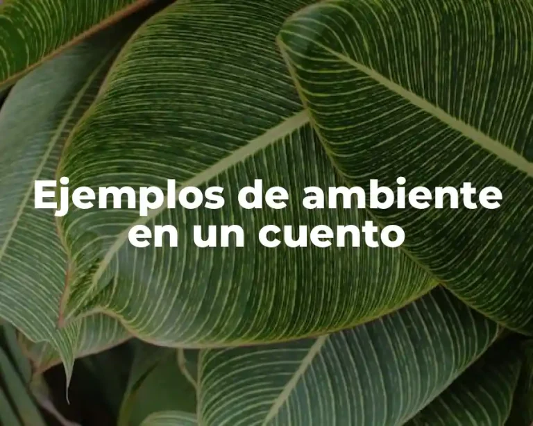 Ejemplos de ambiente en un cuento