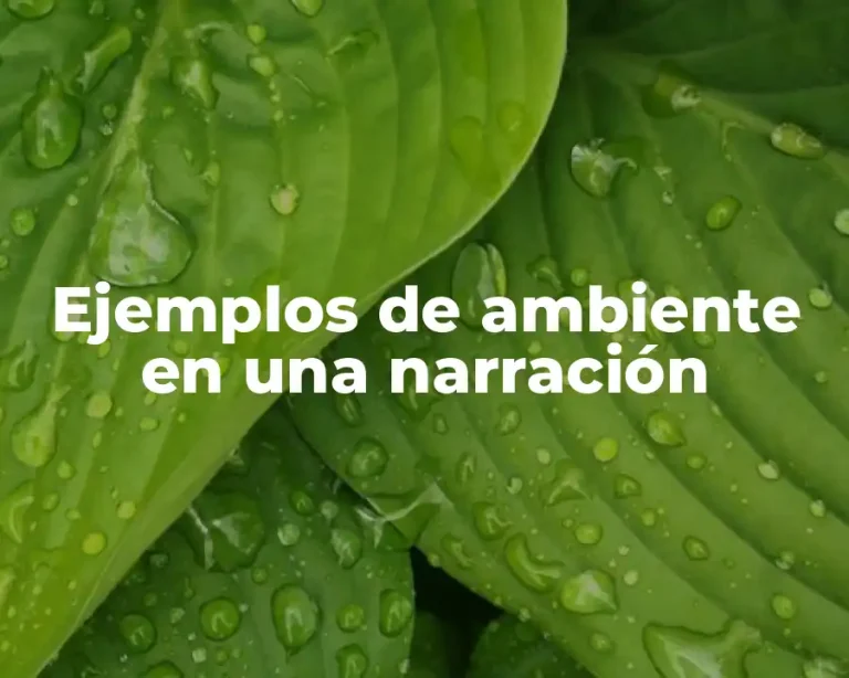 Ejemplos de ambiente en una narración
