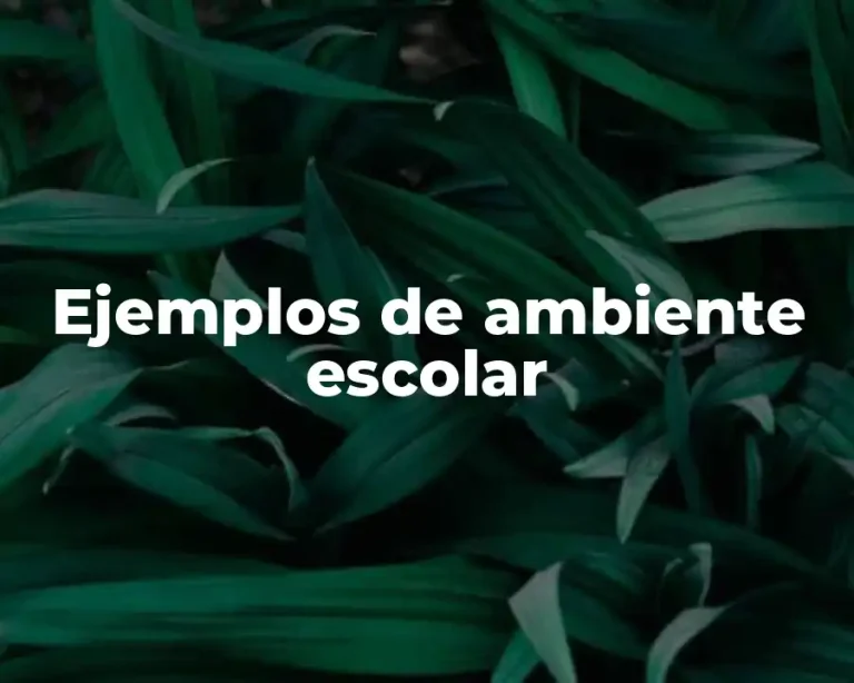 Ejemplos de ambiente escolar