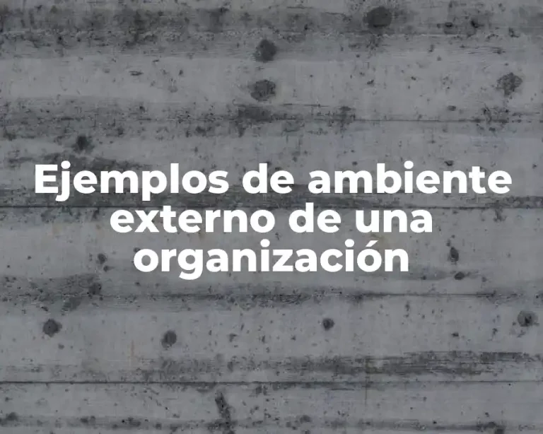 Ejemplos de ambiente externo de una organización