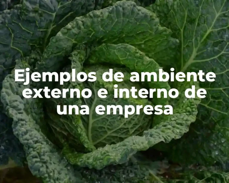 Ejemplos de ambiente externo e interno de una empresa