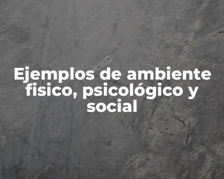 Ejemplos de ambiente fisico, psicológico y social
