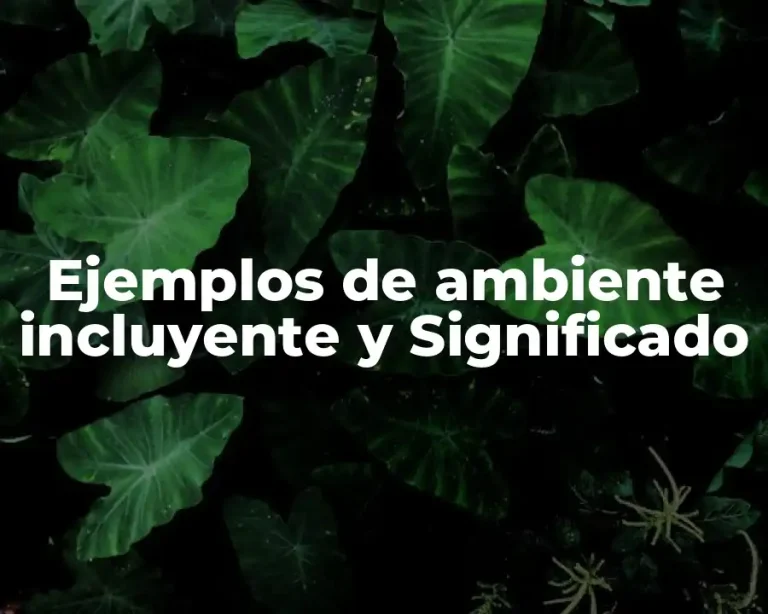 Ejemplos de ambiente incluyente y Significado