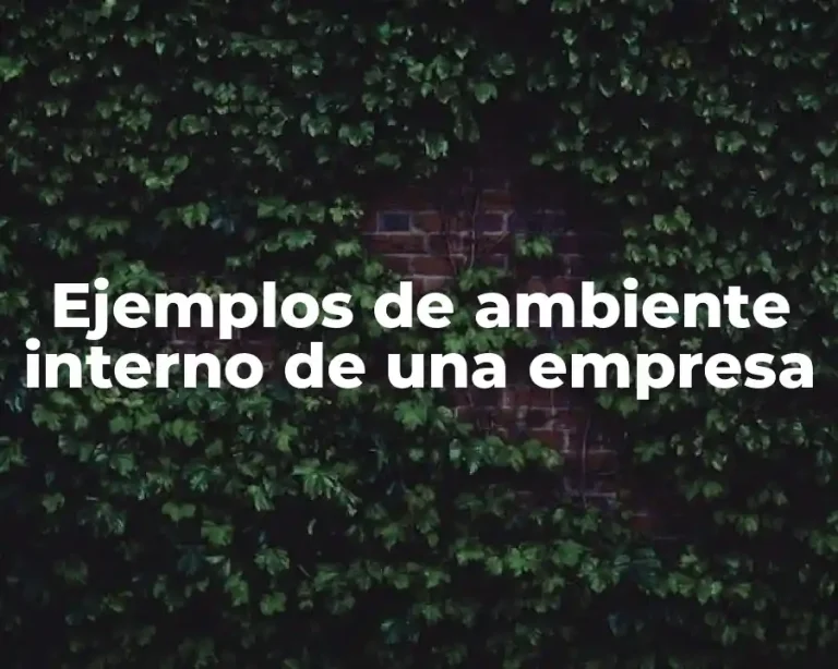 Ejemplos de ambiente interno de una empresa