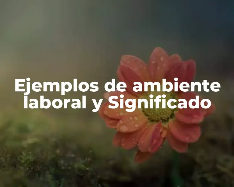 Ejemplos de ambiente laboral y Significado