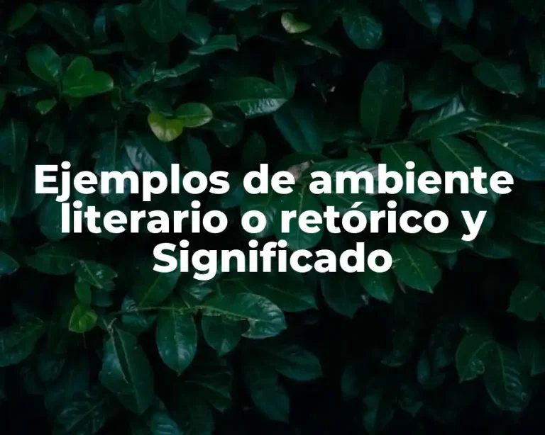 Ejemplos de ambiente literario o retórico y Significado
