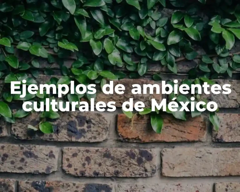Ejemplos de ambientes culturales de México