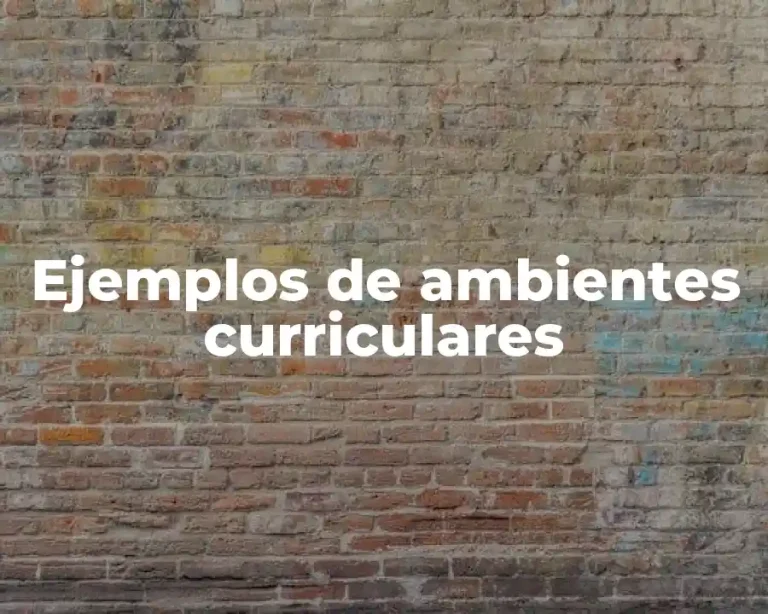 Ejemplos de ambientes curriculares