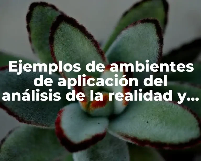 Ejemplos de ambientes de aplicación del análisis de la realidad y Significado