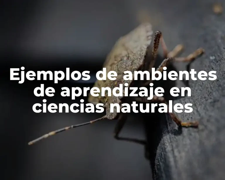 Ejemplos de ambientes de aprendizaje en ciencias naturales
