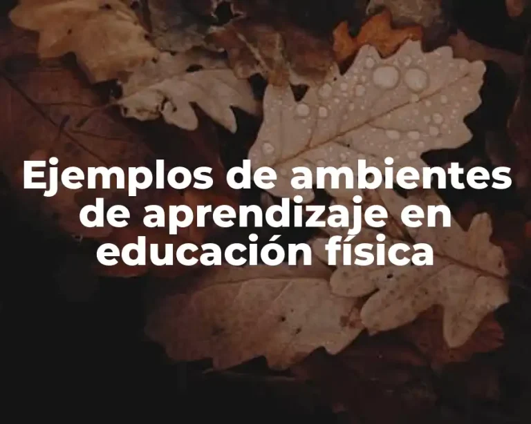 Ejemplos de ambientes de aprendizaje en educación física