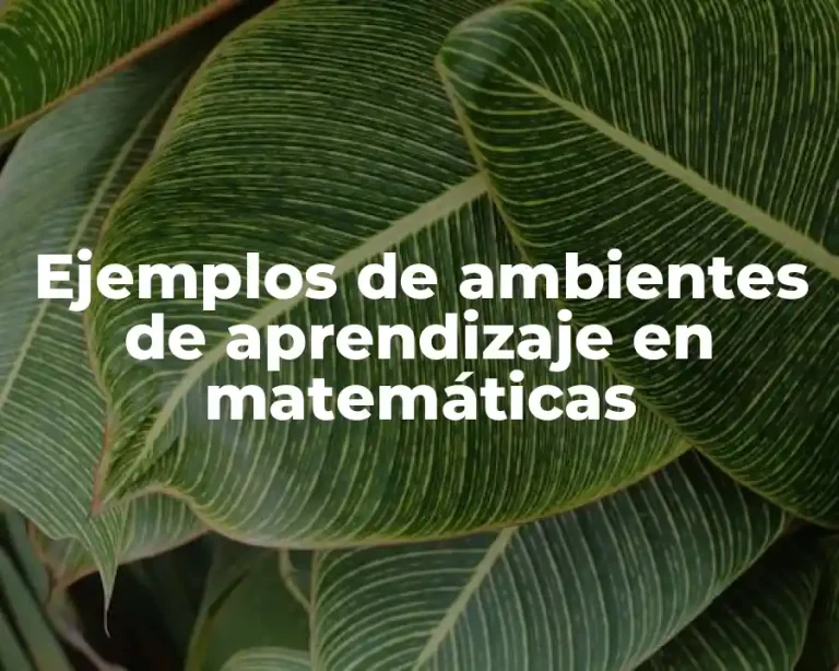 Ejemplos de ambientes de aprendizaje en matemáticas