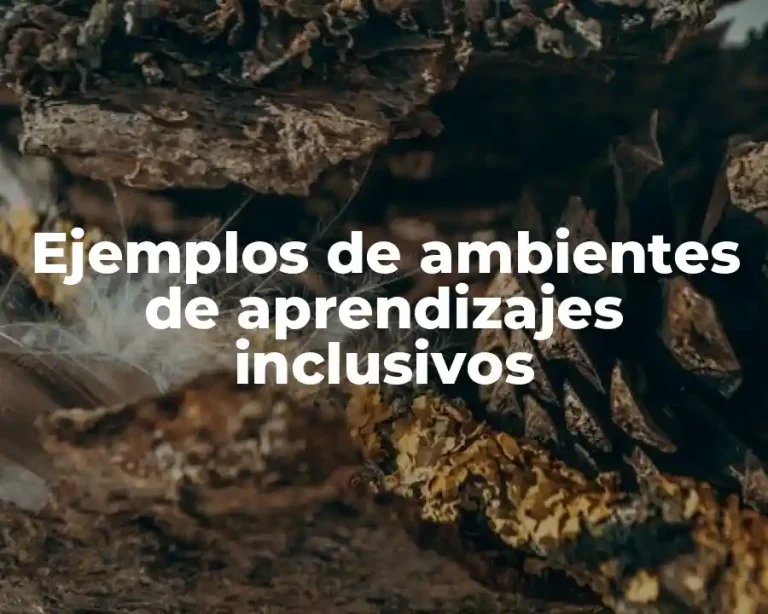 Ejemplos de ambientes de aprendizajes inclusivos