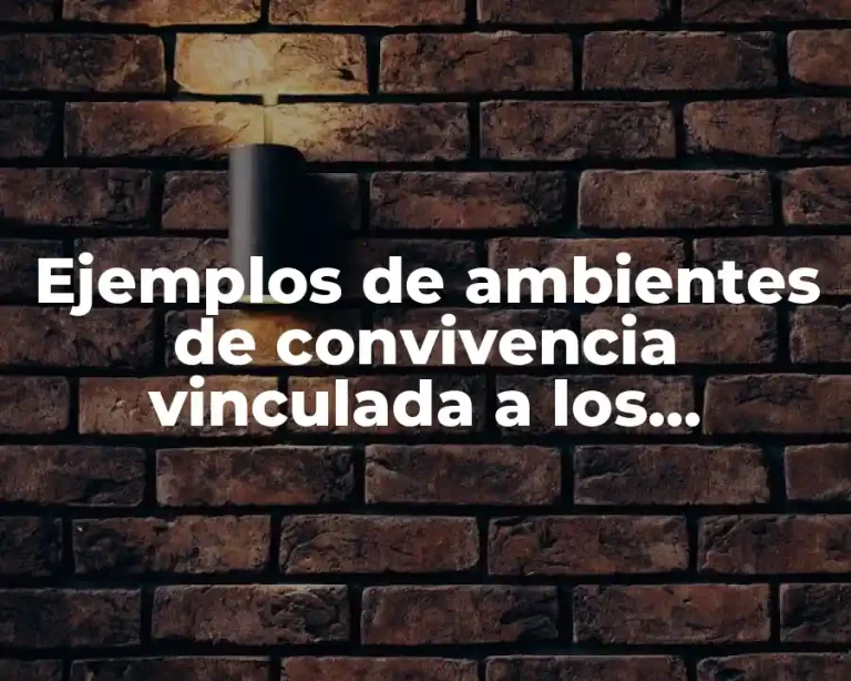 Ejemplos de ambientes de convivencia vinculada a los derechos humanos