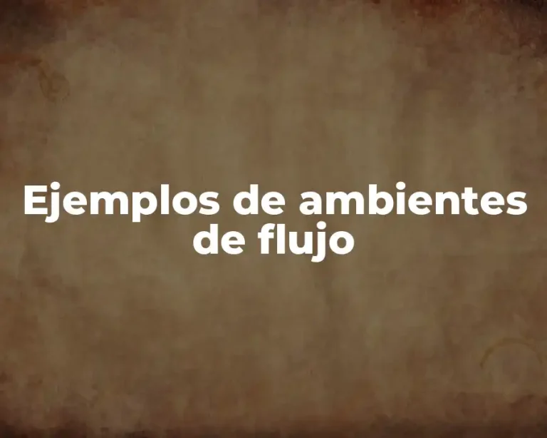 Ejemplos de ambientes de flujo