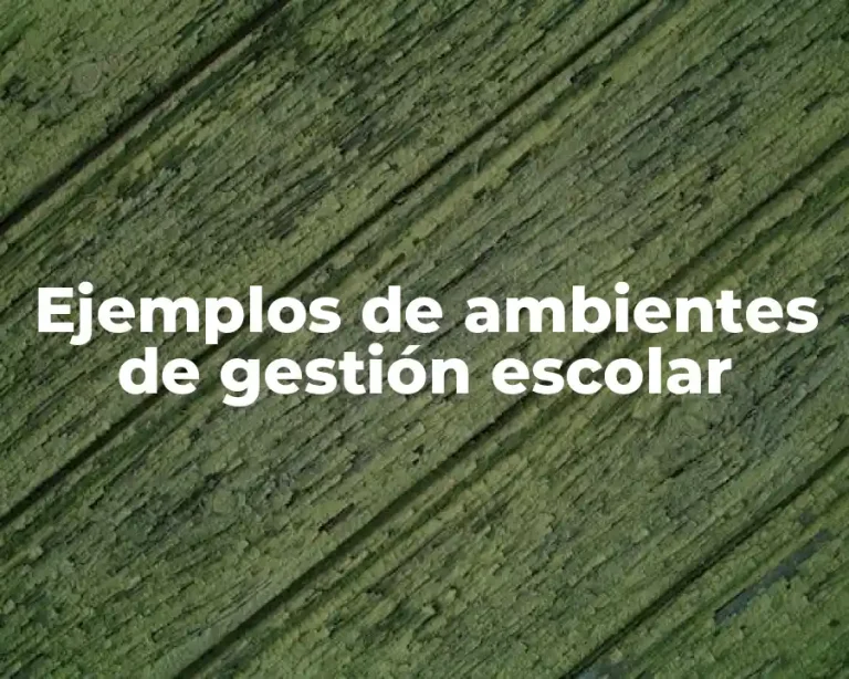 Ejemplos de ambientes de gestión escolar