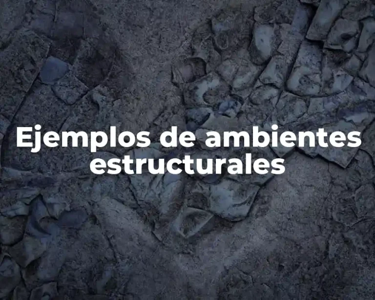 Ejemplos de ambientes estructurales