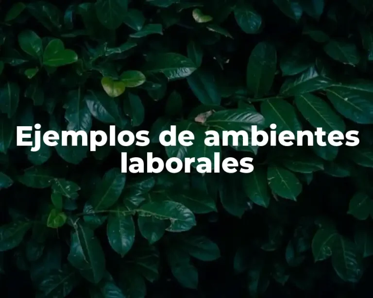 Ejemplos de ambientes laborales