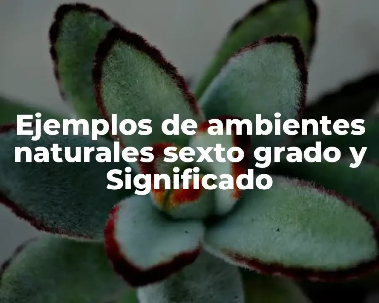 Ejemplos de ambientes naturales sexto grado y Significado