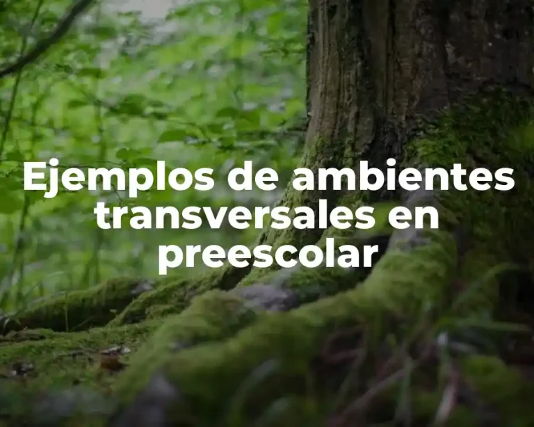Ejemplos de ambientes transversales en preescolar