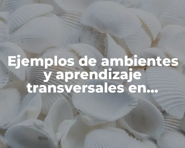 Ejemplos de ambientes y aprendizaje transversales en preescolar