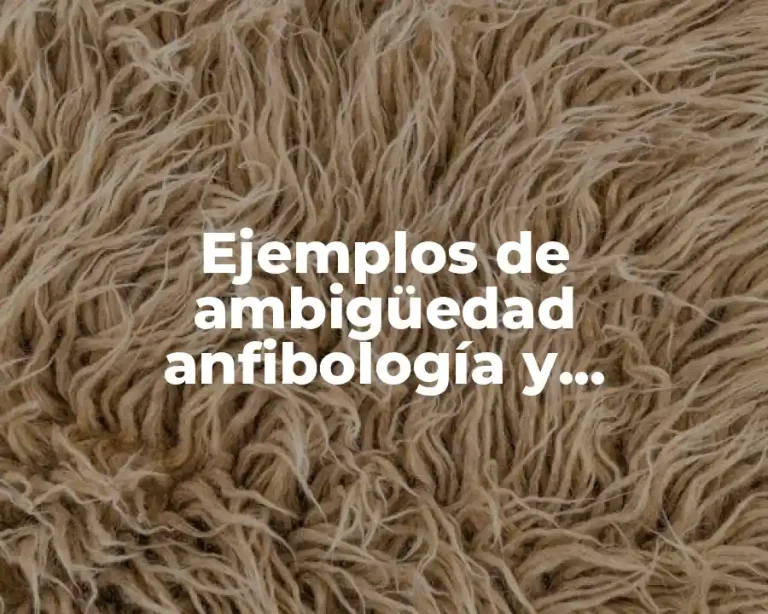 Ejemplos de ambigüedad anfibología y Significado