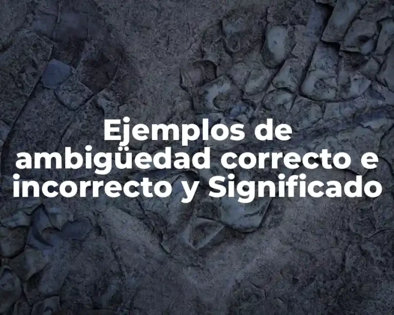 Ejemplos de ambigüedad correcto e incorrecto y Significado
