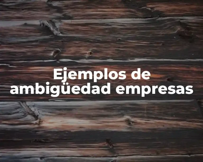 Ejemplos de ambigüedad empresas