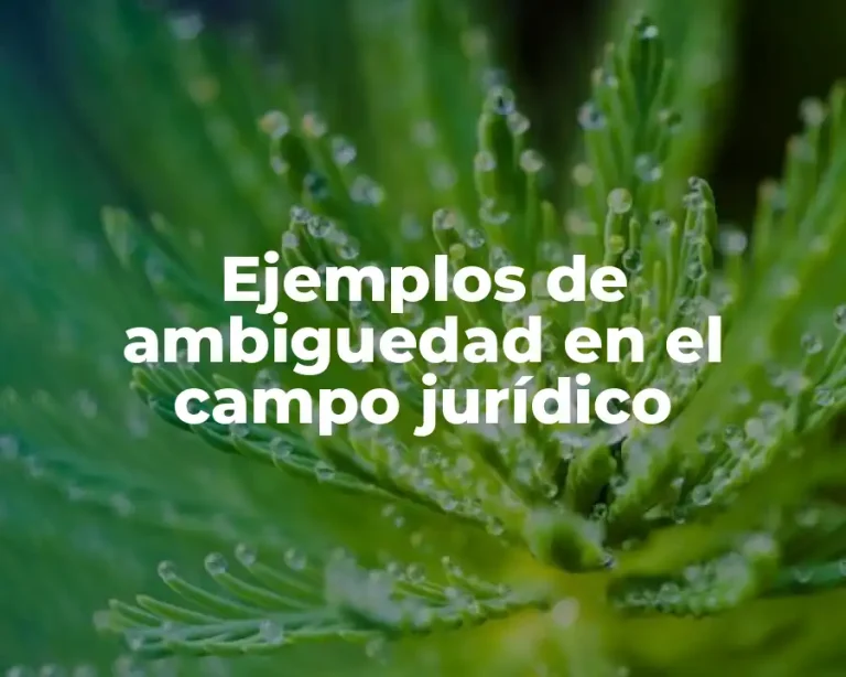 Ejemplos de ambiguedad en el campo jurídico