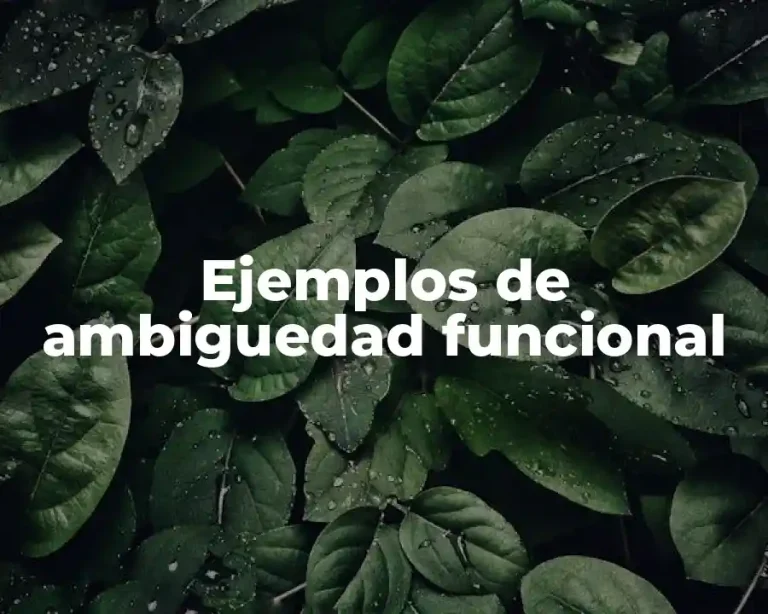 Ejemplos de ambiguedad funcional