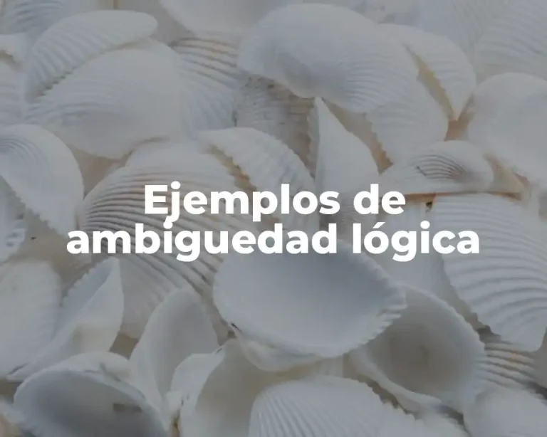Ejemplos de ambiguedad lógica