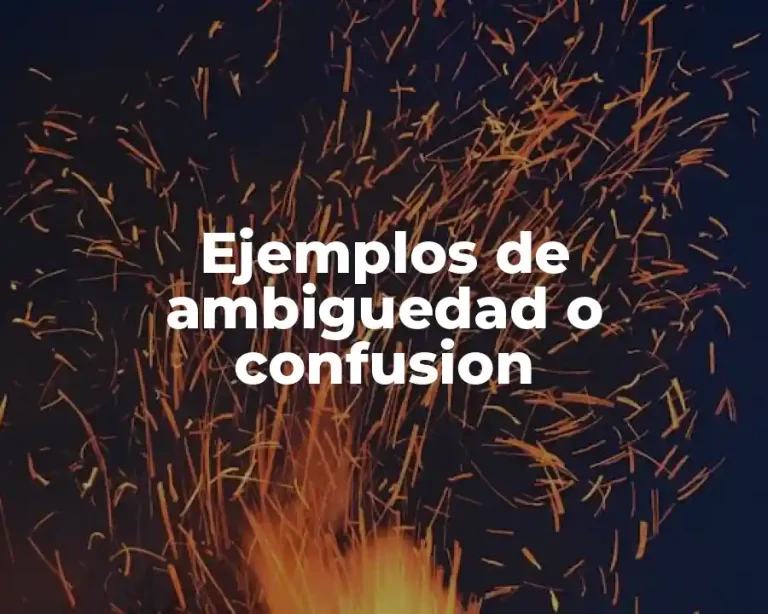 Ejemplos de ambiguedad o confusion