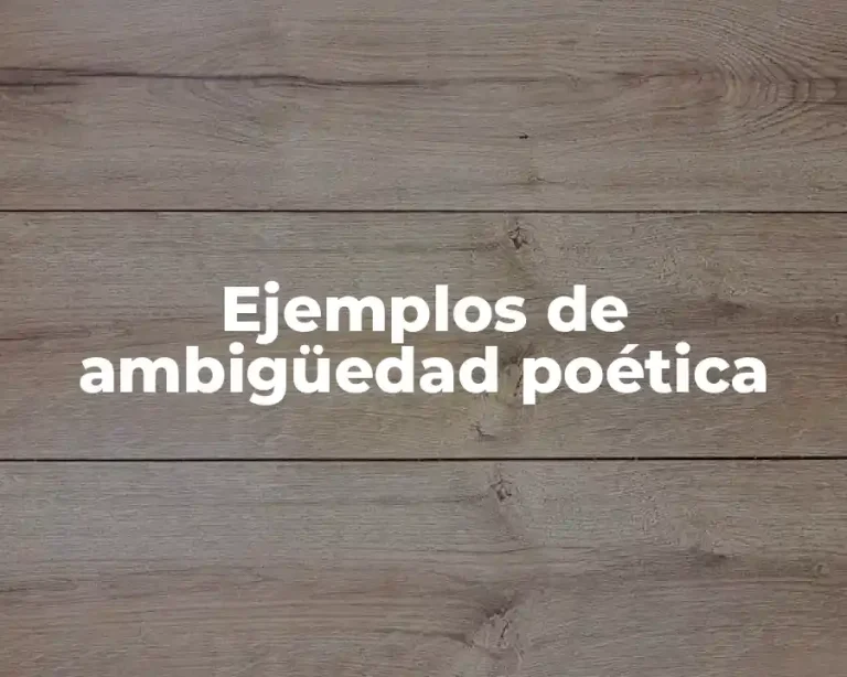 Ejemplos de ambigüedad poética