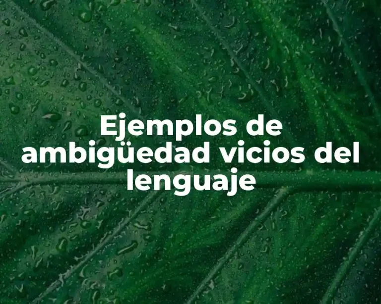 Ejemplos de ambigüedad vicios del lenguaje