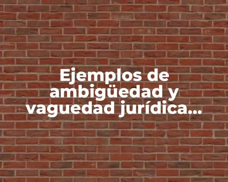 Ejemplos de ambigüedad y vaguedad jurídica mexicana y Significado