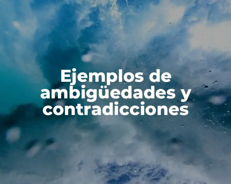 Ejemplos de ambigüedades y contradicciones